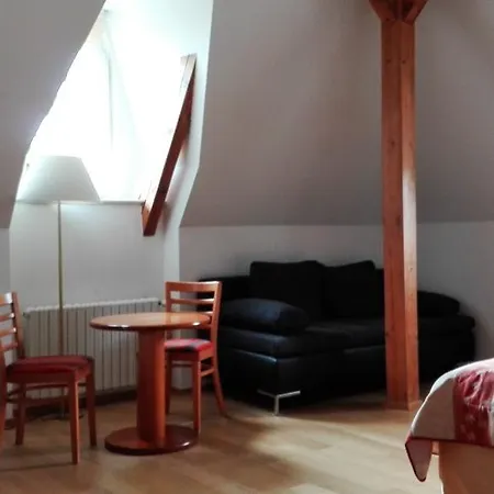 Maison d'hôtes Dykova - Former Jana, Domov Mladeze 2*