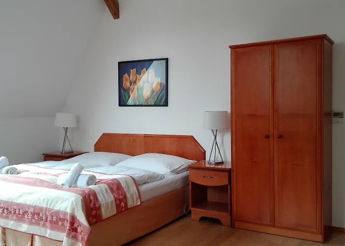 Affittacamere Dykova - Former Jana, Domov Mládeže 2*